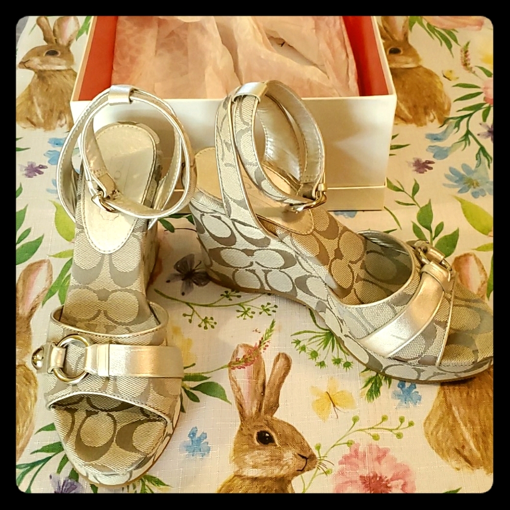 Coach Kay silver metallic with buckle wedges